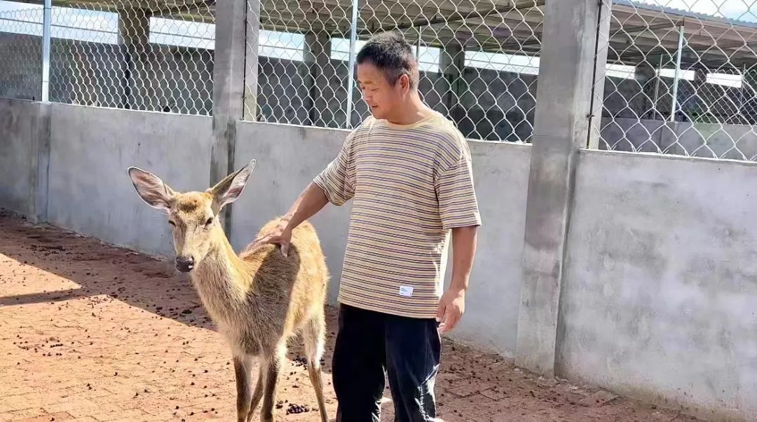 ag捕鱼免费试玩